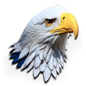 American Eagle Minimalist Png Qnn3 PNG Image