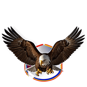 American Eagle PNG lit PNG image with transparent background