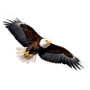 American Eagle Screaming Png 06122024 PNG Image