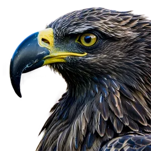 American Eagle Screaming Png 06122024 PNG Image