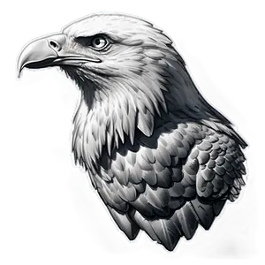 American Eagle Sketch Png 06122024 PNG Image