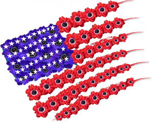 Memorial Day 2019 Poppies, HD Png Download PNG image with transparent background