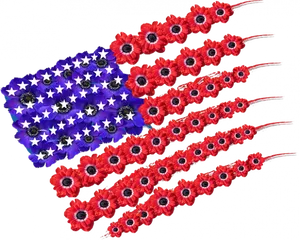 American Flag Poppies Memorial Day PNG Image