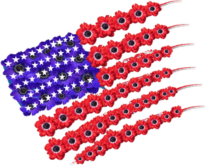 Usa, America, Flag, Americans, American, Memorial Day - Memorial Day 2019 Poppies, HD Png Download PNG with transparent background