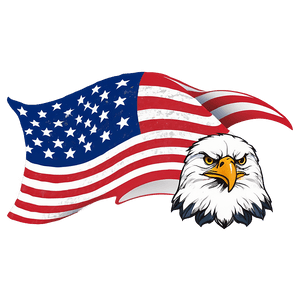 American Flag with Eagle PNG Design 59 PNG image with transparent background