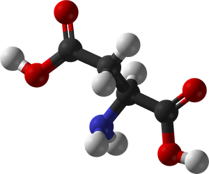 L Aspartic Ac - 3d Structure Of Aspartic Acid, HD Png Download PNG with transparent background