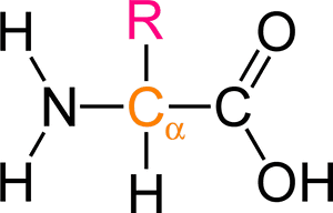 Amino Acid Structure Png Image - Alpha Amino Acid General Formula, Transparent Png PNG with transparent background