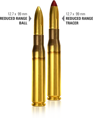 Ammunition Comparison_127x99mm PNG Image