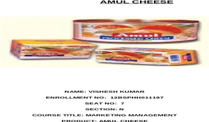 Amul Processed Cheese Packaging PNG Image