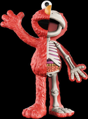 Anatomical Elmo Revealed PNG image with transparent background