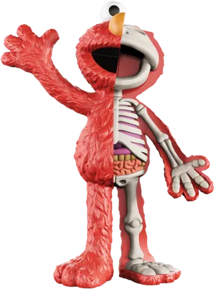 Anatomical Elmo Revealed PNG Image