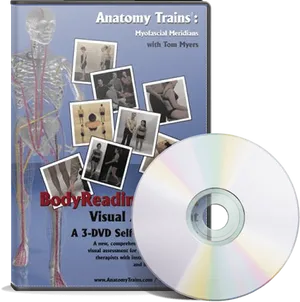 Anatomy Trains Myofascial Meridians D V D PNG Image