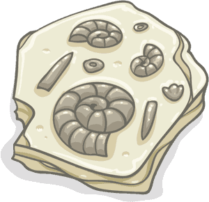Cartoon Fossil Png, Transparent Png PNG with transparent background