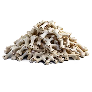 Ancient Bone Pile Image Png Qmr PNG Image