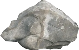 Ancient Fossilized Leaf Impression Rock PNG Image