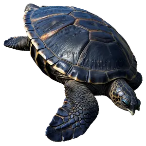 Ancient Leatherback Turtle Png Soi PNG Image