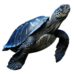 Ancient Leatherback Turtle Png Xvn PNG Image