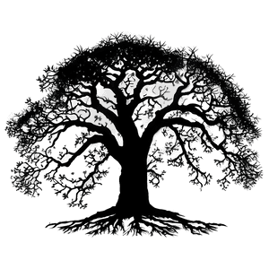 Ancient Oak Silhouette PNG 06262024 PNG with transparent background