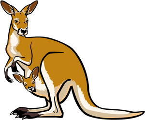 And Joey - Kangaroo Clipart, HD Png Download PNG image with transparent background