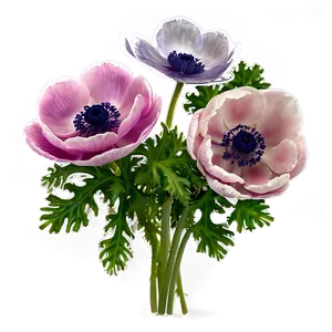 Anemone Bunch Png Hej35 PNG Image