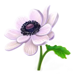 Anemone Clipart Png Lhe2 PNG Image