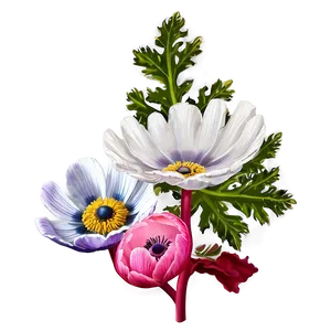 Anemone Fresh Look Png Vum96 PNG Image