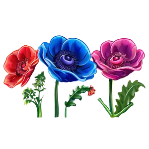 Anemone Vector Art Png 06252024 PNG Image