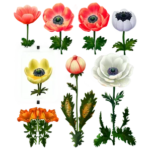 Anemone Wedding Decor Png Owh66 PNG Image