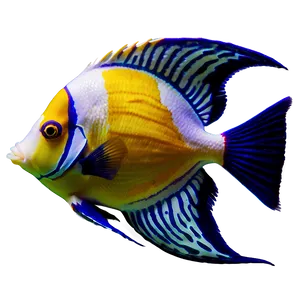 Angel Fish Transparent Png 1 PNG Image