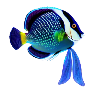 Angel Fish Transparent Png Tcq6 PNG Image