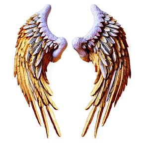 Angel Wing PNG nnh78 PNG with transparent background