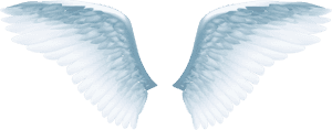Angel Wing Icon - White Angel Wings Png, Transparent Png PNG with transparent background