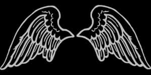 Angel Wings Graphic Black Background PNG image with transparent background