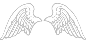 Angel Wings Graphic Black Background PNG Image