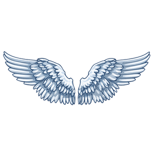 Angel Wings Illustration PNG 05042024 PNG image with transparent background