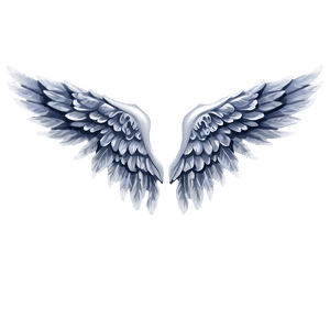 Angel Wings PNG 05032024 PNG image with transparent background