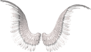 Wings Photo Editing, Tumblr Png, Angel Wings, Image - Golden Retriever With Angel Wings, Transparent Png PNG with transparent background