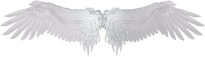 Transparent Wings Png Tumblr - Dark Angel Wings Png, Png Download PNG with transparent background