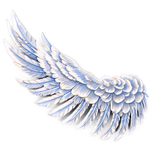 Angelic Wing PNG cvs PNG