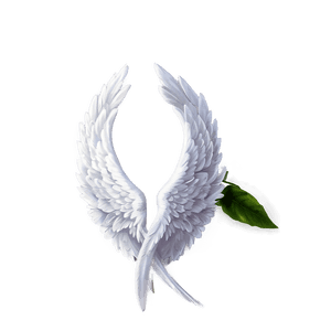 Angelic Wing PNG dkg22 PNG