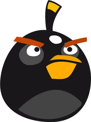 Angry Bird Black Character Illustration PNG Image