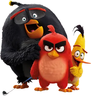 Angry Birds Characters Group PNG Image