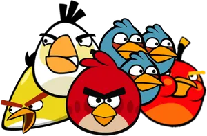 Angry Birds Characters Group PNG Image