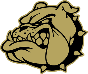 Angry Bulldog Graphic PNG image with transparent background