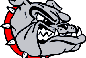 Angry Bulldog Graphic PNG image with transparent background