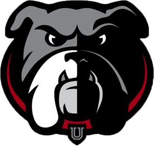 Angry Bulldog Mascot Logo PNG image with transparent background