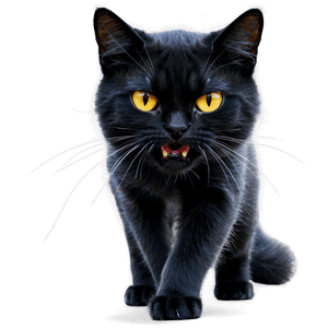 Angry Cat PNG 38 PNG