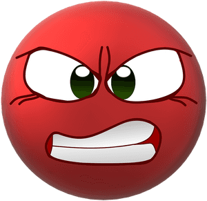 Samuel, Smiley, Smiliy, Angry, Anger, Trouble - Angry Bird Birthday Song, HD Png Download PNG image with transparent background