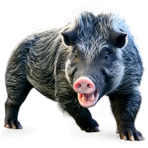 Angry Hog Png 06252024 PNG Image