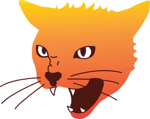 Angry Cat Png Image - Angry Cat Face Png, Transparent Png PNG image with transparent background